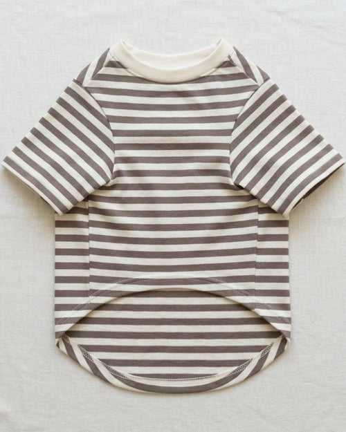 Qlvnd Striped Cotton Jersey Pet T-Shirt Small Clay Ivory - Lifestyle view