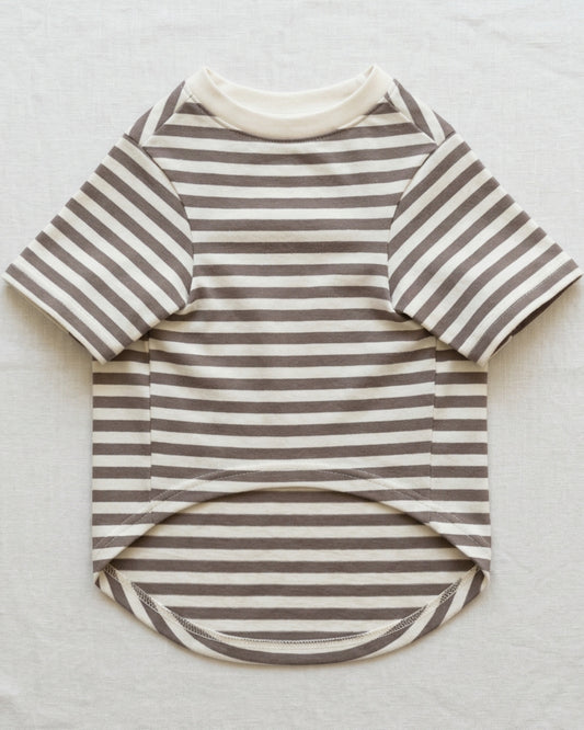 Qlvnd Striped Cotton Jersey Pet T-Shirt Small Clay Ivory - Lifestyle view