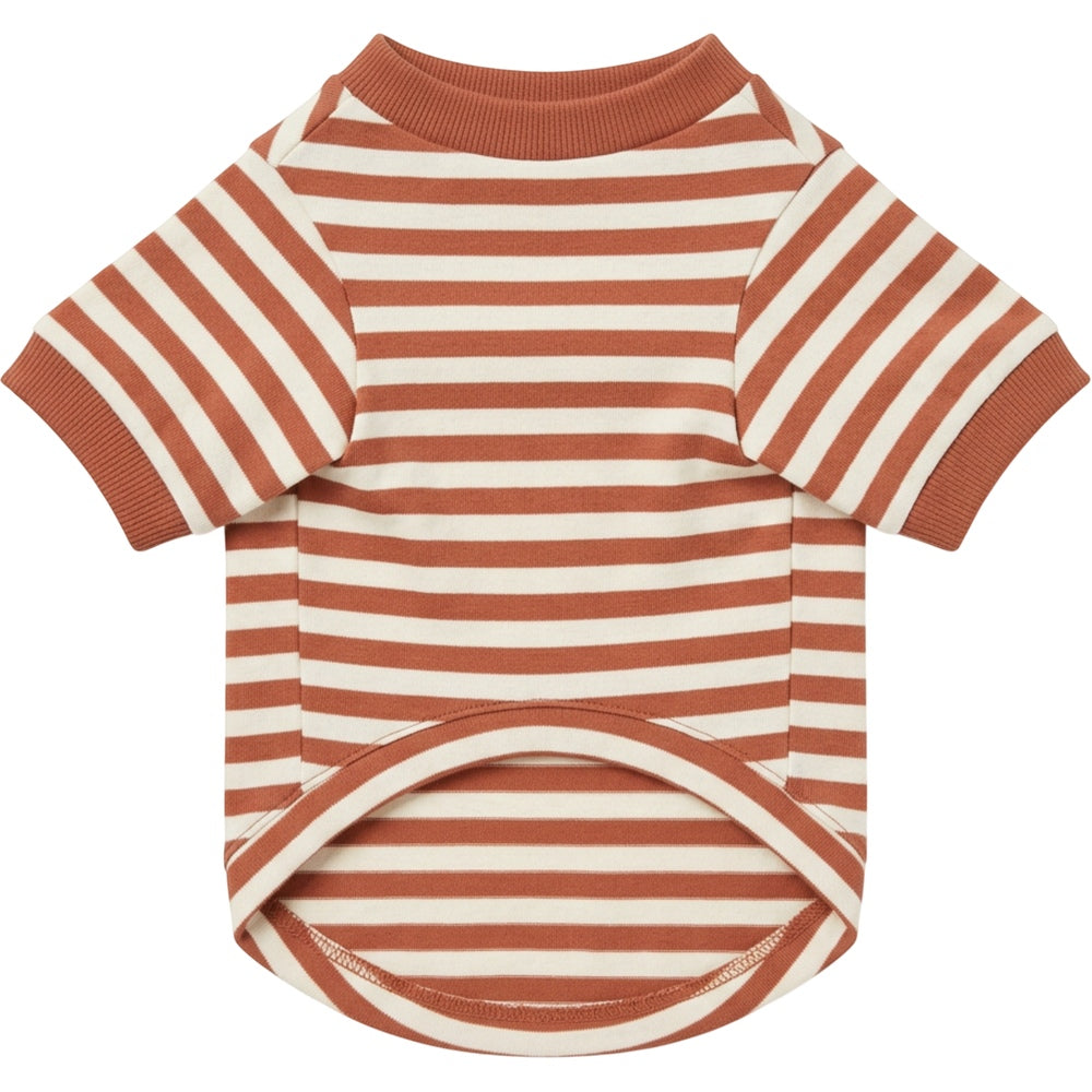 Qlvnd Striped Cotton Jersey Pet T-Shirt Small Clay Ivory - Product view