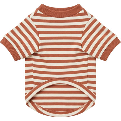 Qlvnd Striped Cotton Jersey Pet T-Shirt Small Clay Ivory - Product view