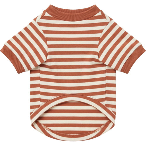 Qlvnd Striped Cotton Jersey Pet T-Shirt Small Clay Ivory - Product view