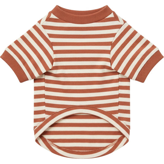 Qlvnd Striped Cotton Jersey Pet T-Shirt Small Clay Ivory - Product view